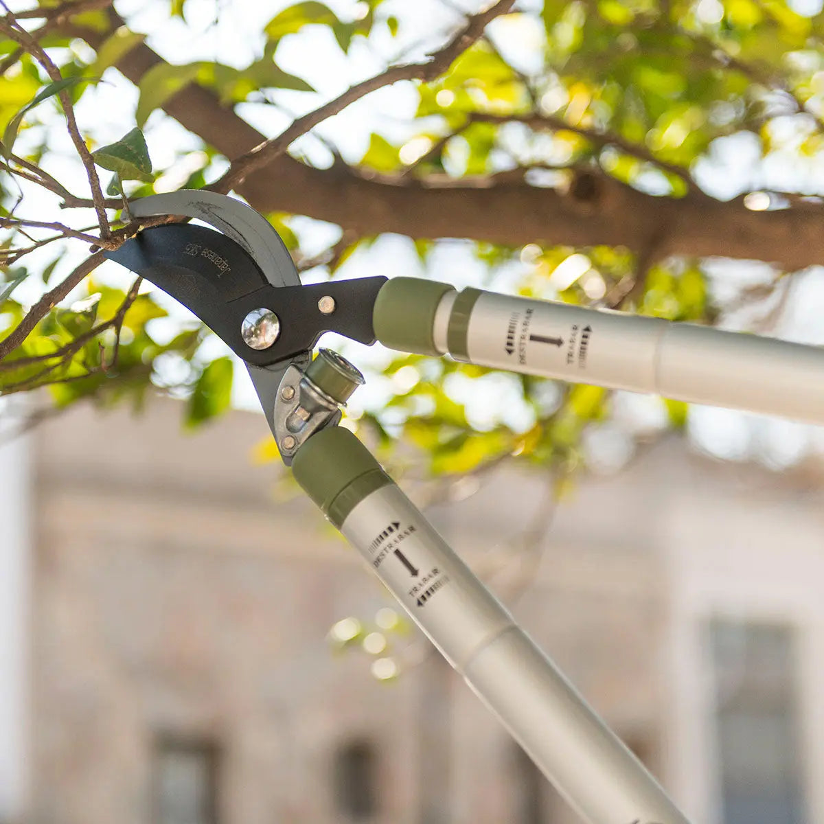 Tijera Corta Ramas Telescópica Bypass BULIT Serie 800 Bulit