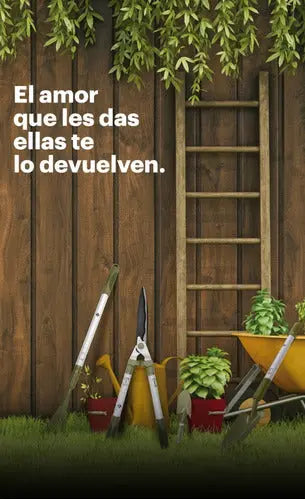 Set de Poda BULIT Tijera + Serrucho 350mm Bulit